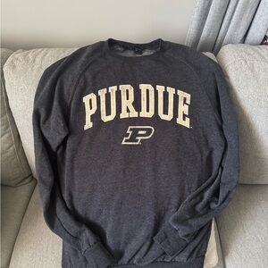 Colosseum Gray Crewneck Sweater